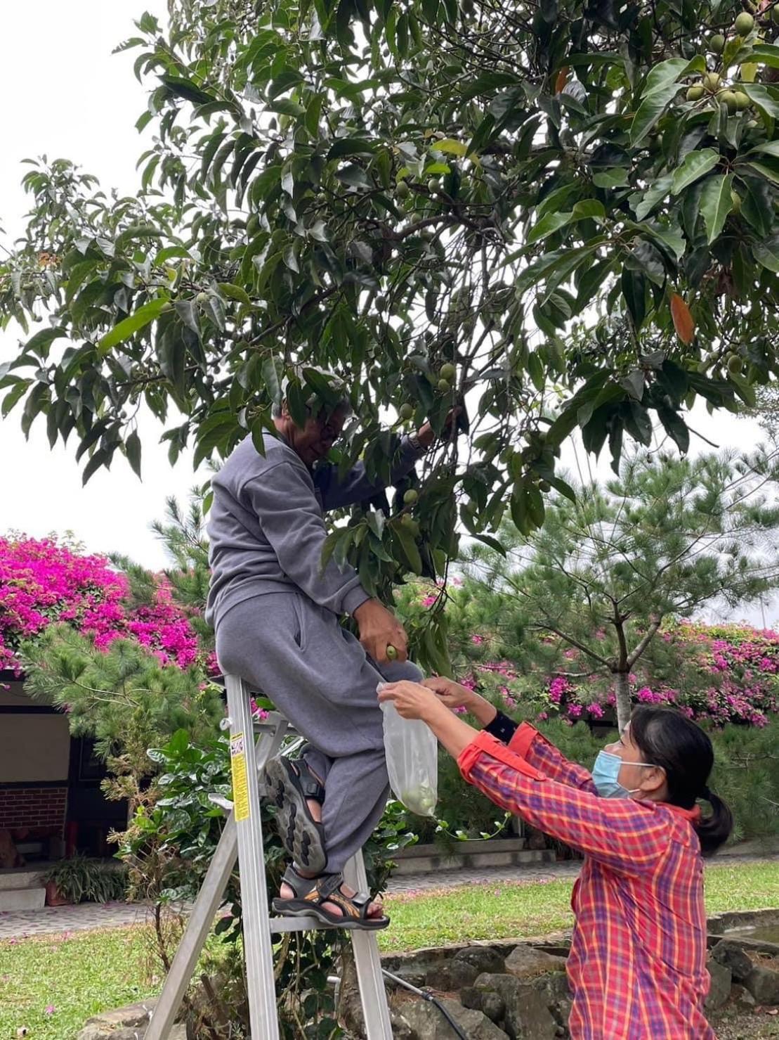 嘉義竹崎白樹腳驛棧萬坪生態包棟烤肉親子民宿 Fujin Bagian luar foto